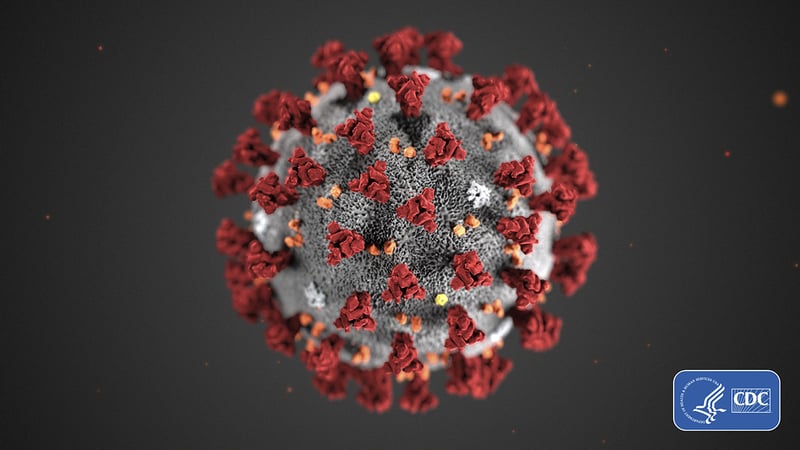 FILE - This illustration provided by the Centers for Disease Control and Prevention (CDC) in January 2020 shows the 2019 Novel Coronavirus (2019-nCoV). The coronavirus outbreak has exposed a seeming disconnect between the financial markets and science. Health experts are uncertain how far the virus out of China will spread and how bad the crisis will get, yet stock markets are rallying as if they’re not expecting more than a modest hit to the global economy. (CDC via AP, File) FILE - This illustration provided by the Centers for Disease Control and Prevention (CDC) in January 2020 shows the 2019 Novel Coronavirus (2019-nCoV). The coronavirus outbreak has exposed a seeming disconnect between the financial markets and science. Health experts are uncertain how far the virus out of China will spread and how bad the crisis will get, yet stock markets are rallying as if they’re not expecting more than a modest hit to the global economy. (CDC via AP, File)
