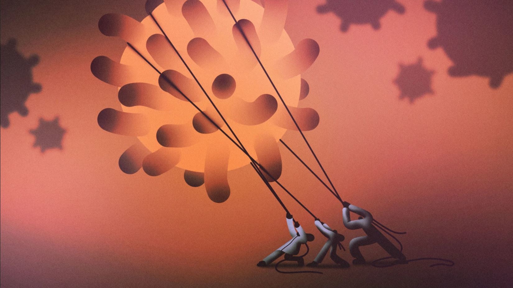 Photo: The New Yorker