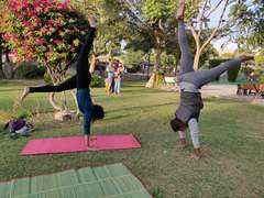Yoga: In Simple Words