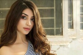 The Diversity of Zoya Nasir on Screen